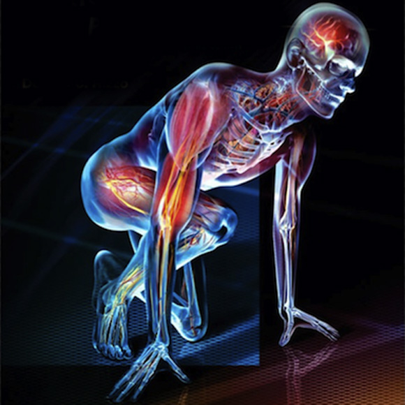 digital muscular skeleton in race starting running pose