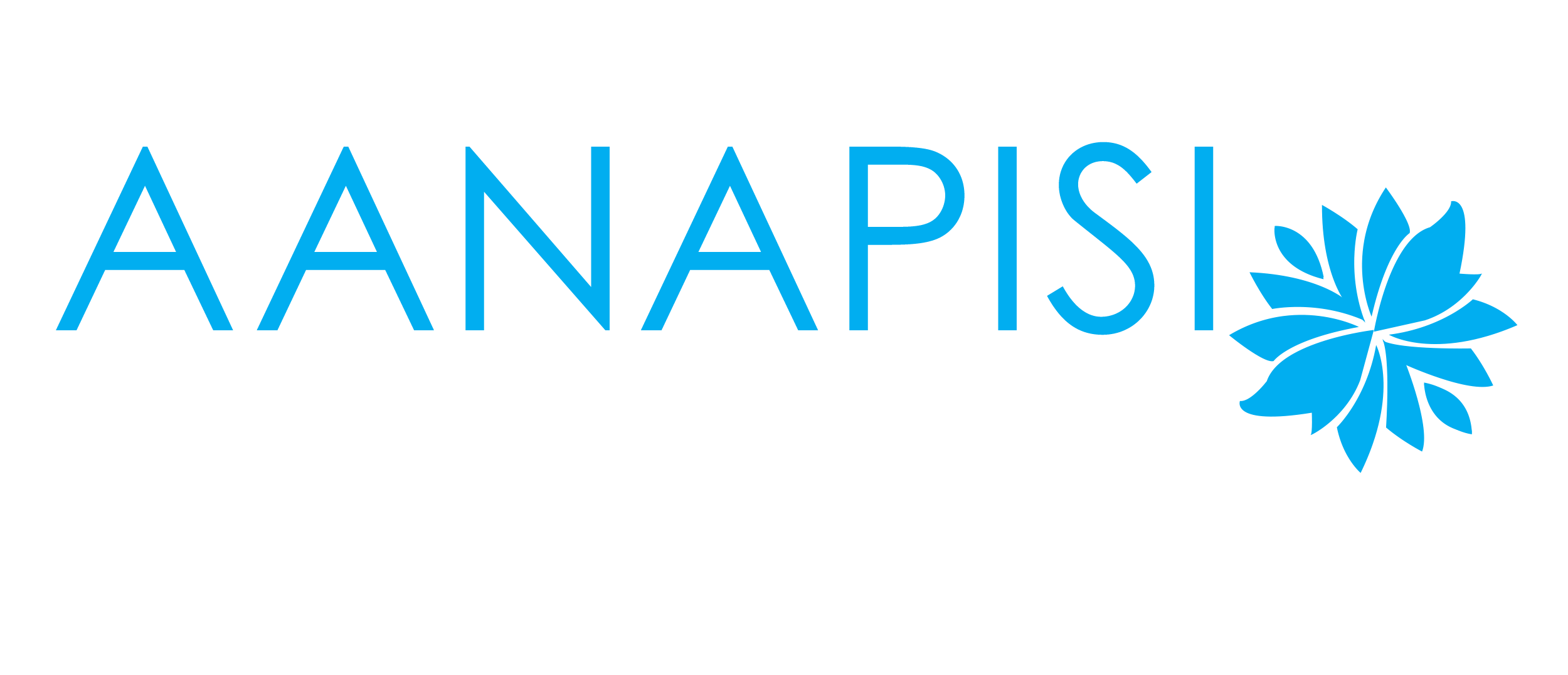 AANAPISI_Logo