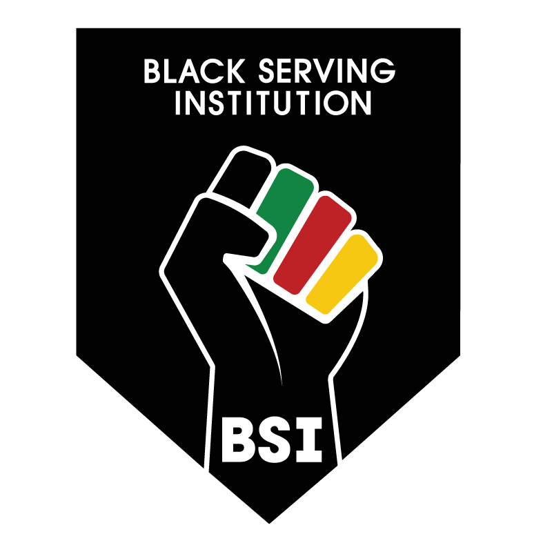 BSI Logo